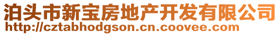 泊頭市新寶房地產(chǎn)開發(fā)有限公司