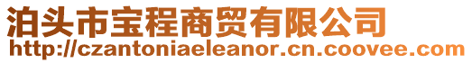 泊頭市寶程商貿有限公司