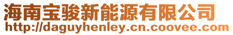 海南寶駿新能源有限公司