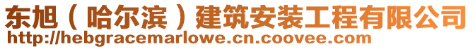 東旭（哈爾濱）建筑安裝工程有限公司