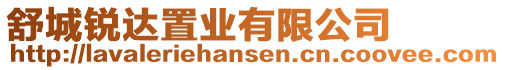 舒城銳達置業(yè)有限公司