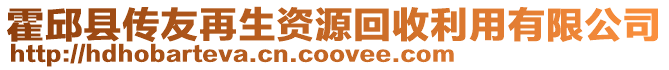 霍邱縣傳友再生資源回收利用有限公司