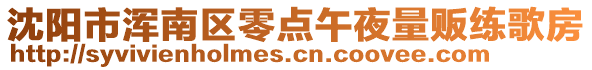 沈陽(yáng)市渾南區(qū)零點(diǎn)午夜量販練歌房