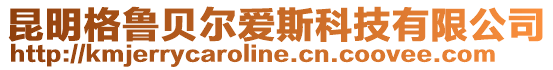 昆明格魯貝爾愛斯科技有限公司