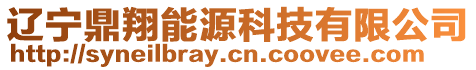 遼寧鼎翔能源科技有限公司