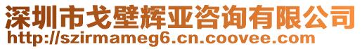 深圳市戈壁輝亞咨詢有限公司