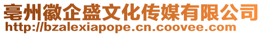 亳州徽企盛文化傳媒有限公司