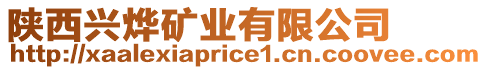 陜西興燁礦業有限公司