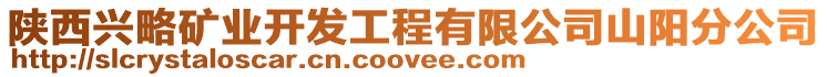 陜西興略礦業開發工程有限公司山陽分公司