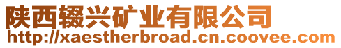 陜西輟興礦業(yè)有限公司