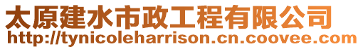 太原建水市政工程有限公司