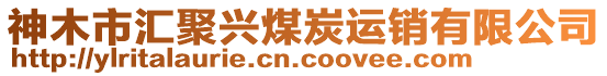 神木市匯聚興煤炭運(yùn)銷有限公司