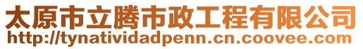 太原市立騰市政工程有限公司