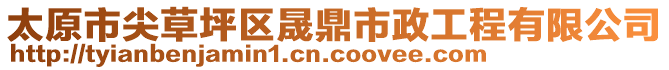 太原市尖草坪區晟鼎市政工程有限公司