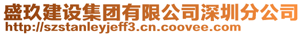 盛玖建設集團有限公司深圳分公司