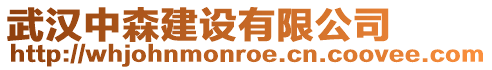 武漢中森建設有限公司