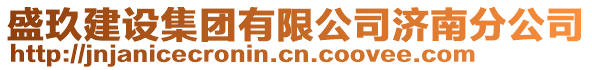 盛玖建設集團有限公司濟南分公司