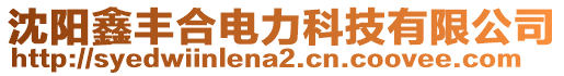 沈陽鑫豐合電力科技有限公司