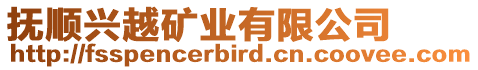 撫順興越礦業(yè)有限公司