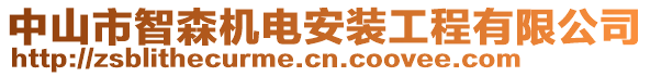 中山市智森機(jī)電安裝工程有限公司