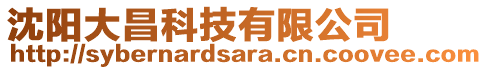 沈陽大昌科技有限公司