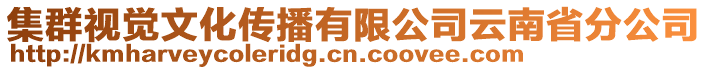 集群視覺(jué)文化傳播有限公司云南省分公司