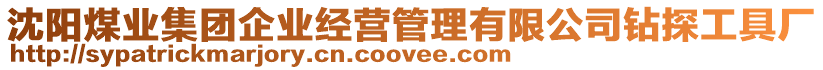 沈陽煤業(yè)集團(tuán)企業(yè)經(jīng)營管理有限公司鉆探工具廠