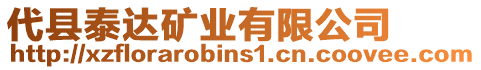 代縣泰達礦業(yè)有限公司