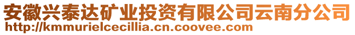 安徽興泰達礦業(yè)投資有限公司云南分公司