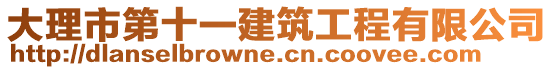 大理市第十一建筑工程有限公司