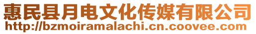 惠民縣月電文化傳媒有限公司