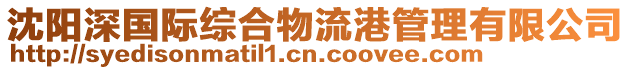 沈陽(yáng)深國(guó)際綜合物流港管理有限公司