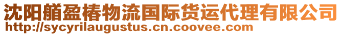 沈陽(yáng)艏盈椿物流國(guó)際貨運(yùn)代理有限公司