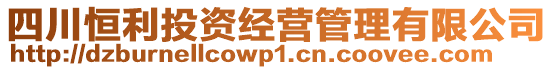 四川恒利投資經(jīng)營管理有限公司