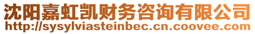 沈陽嘉虹凱財(cái)務(wù)咨詢有限公司