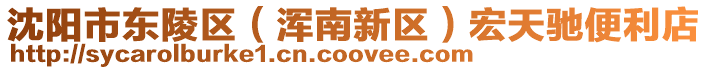 沈陽市東陵區(渾南新區)宏天馳便利店