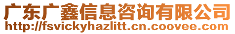 廣東廣鑫信息咨詢有限公司