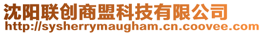 沈陽聯(lián)創(chuàng)商盟科技有限公司