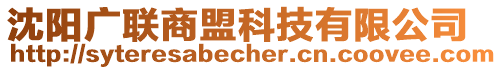 沈陽(yáng)廣聯(lián)商盟科技有限公司