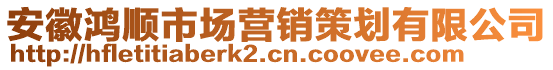 安徽鴻順市場營銷策劃有限公司