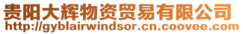 貴陽大輝物資貿易有限公司
