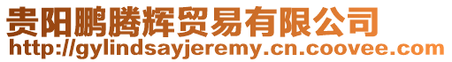 貴陽鵬騰輝貿易有限公司