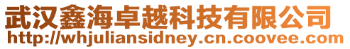 武漢鑫海卓越科技有限公司