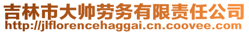 吉林市大帥勞務(wù)有限責(zé)任公司