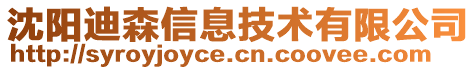 沈陽迪森信息技術有限公司
