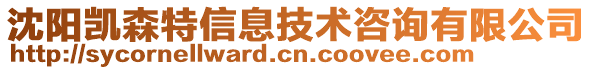 沈陽凱森特信息技術(shù)咨詢有限公司