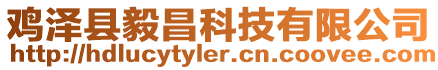 雞澤縣毅昌科技有限公司