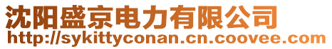 沈阳盛京电力有限公司