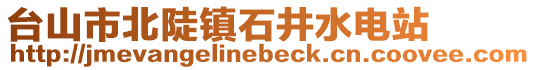 臺(tái)山市北陡鎮(zhèn)石井水電站