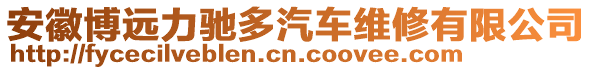 安徽博遠力馳多汽車維修有限公司